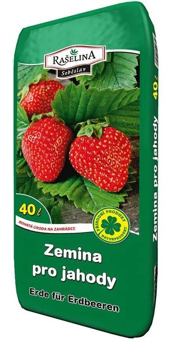 Prehľad vhodných hnojív pre jahody