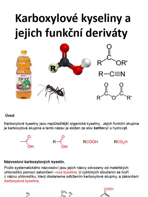 Infografika: Chemická štruktúra hlavných obsahových látok Echinacey (alkamidy, deriváty kyseliny kávovej, polysacharidy)
