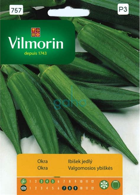 Okra - ibištek jedlý