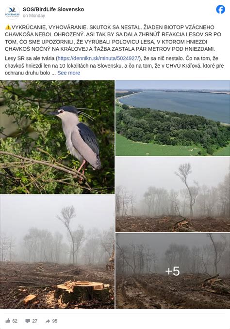 Ohrozenie kunky žltobruchej v jej biotopoch