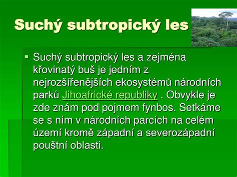 Subtropický les