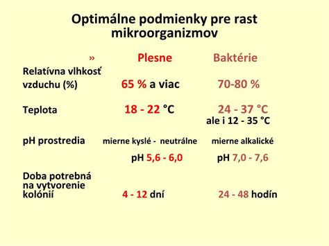 Optimálne podmienky pre rast chryzantém