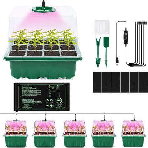 Výsev jahodových semien do nádoby