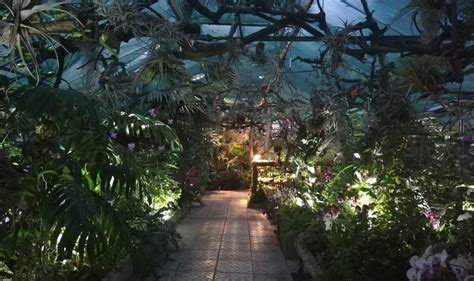 Pohľad na skleníky Botanickej záhrady SPU