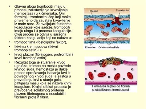 Proces zavodňovania dreveného suda