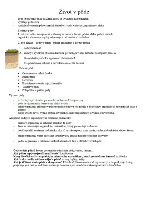 vajíčka slizniaka v pôde
