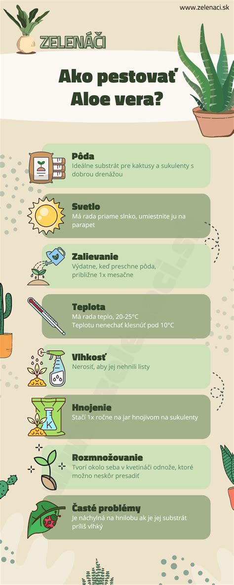 Infografika o výhodách Aloe Vera