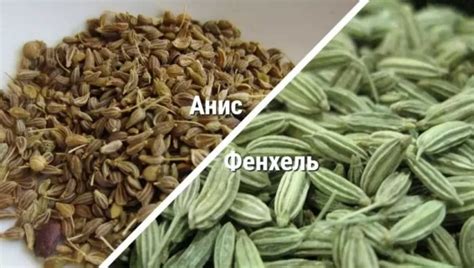 Rozdiel medzi harmančekom pravým a rumančekom poľným