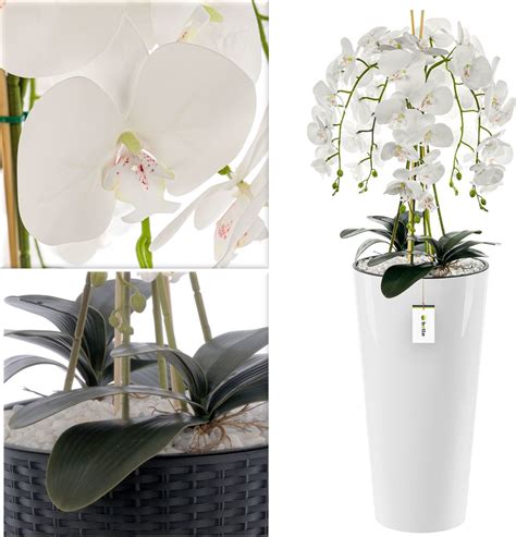 Luxusná biela orchidea v elegantnom bielom sklenenom kvetináči