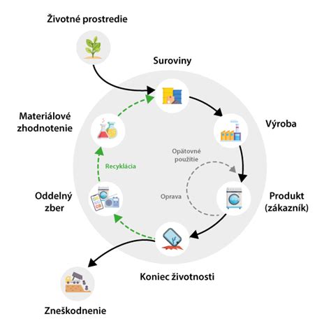 Schéma životného cyklu rastliny