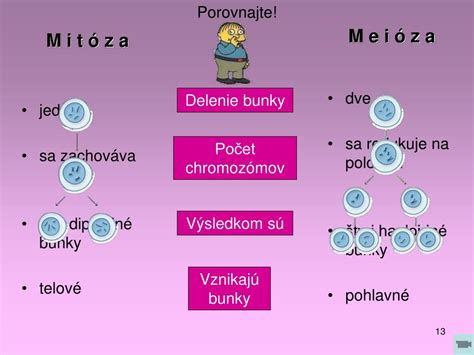Porovnanie mitózy a meiózy