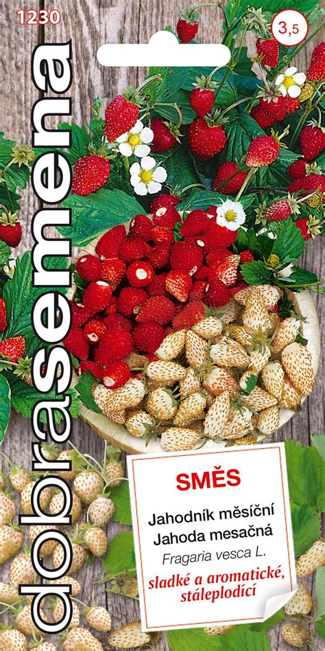 Porovnanie lesných a mesačných jahôd