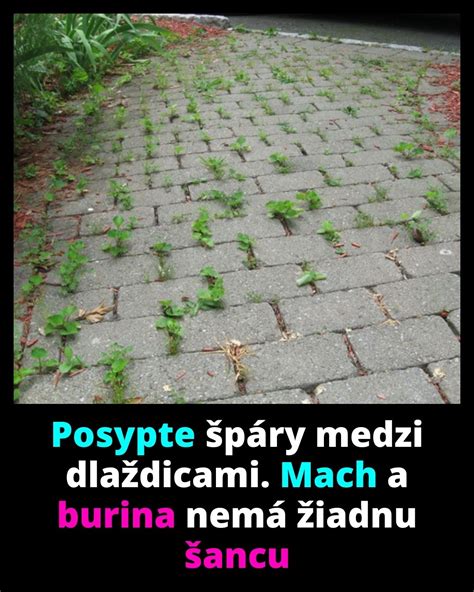 Prehľad metód odstraňovania buriny