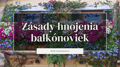 Infografika: Harmonogram hnojenia pre rôzne typy balkónových rastlín