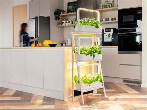 Smart Garden 9 v kuchyni