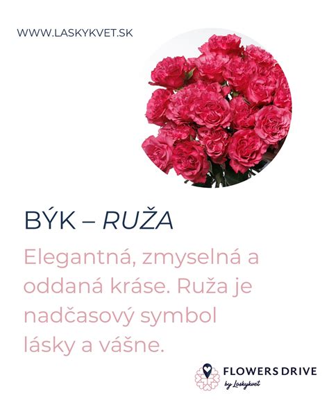 Ruža ako symbol lásky a vášne