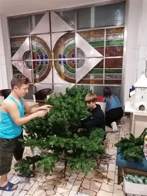 Príprava stromčeka na presádzanie