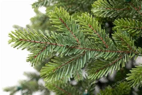 Ukotvenie presadeného stromčeka