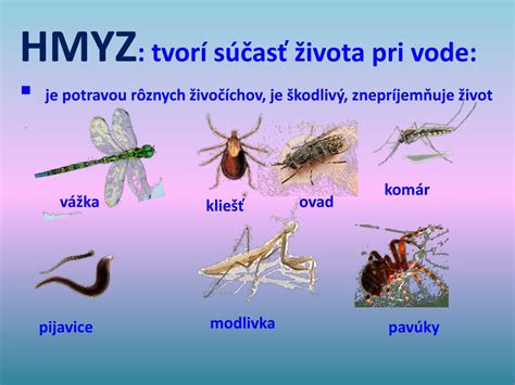 Vodný hmyz - škodca