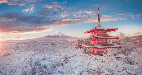 Prírodné prostredie Kirengeshomy dlaňovitej v Japonsku
