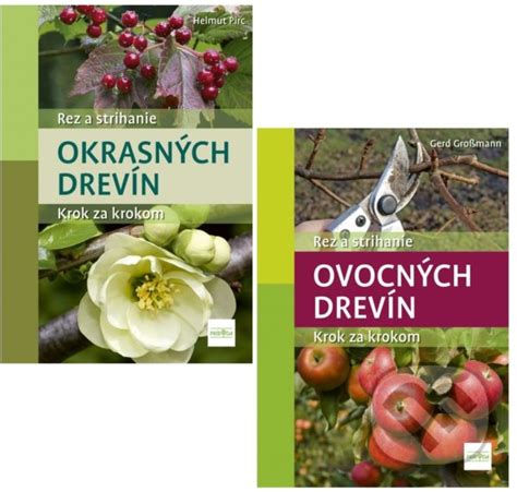 Schéma typov okrasných drevín