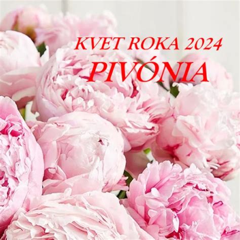 Kalendár starostlivosti o biely kvet počas roka
