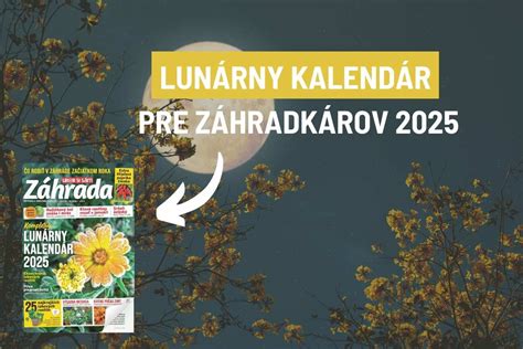 Kalendár prác v záhrade pre broskyňu Suncrest