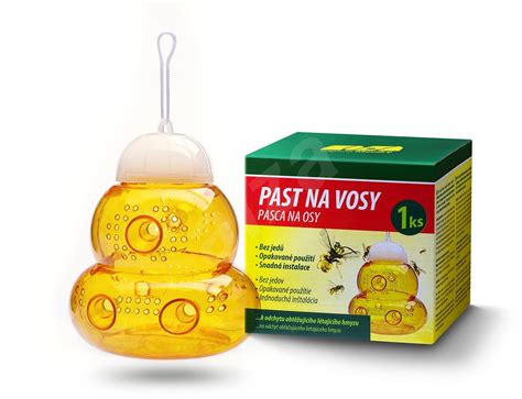 Pasca na osy z fľaše
