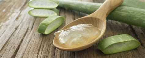Aloe Vera na kožu