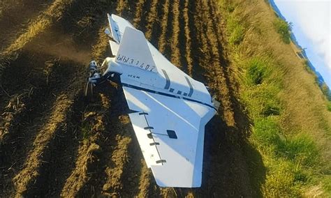 Drony Gerbera vystavené na ukážku