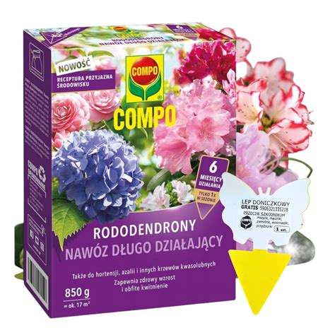 Dôležitosť kyslých hnojív pre rododendrony