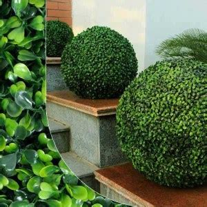 Umelý buxus kužeľ a špirála