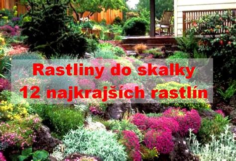 Starostlivosť o rastliny v skalke