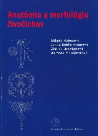 anatómia a morfológia žraloka modrého