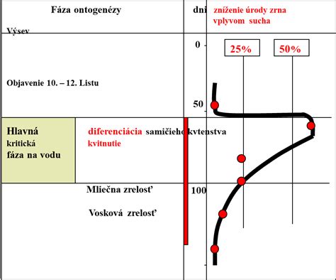 Diagram meiózy a tvorby gamét