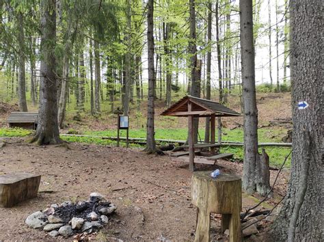 Prameň minerálnej vody Kyselka vo Vyšnej Boci