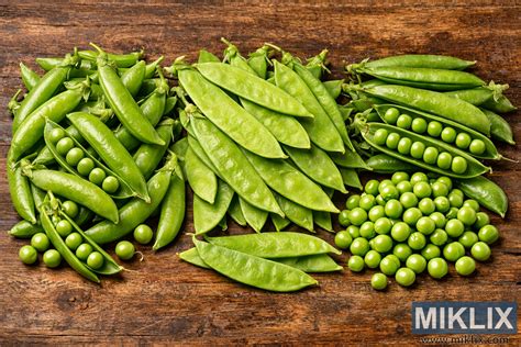 Rôzne druhy hrachu a ich struky