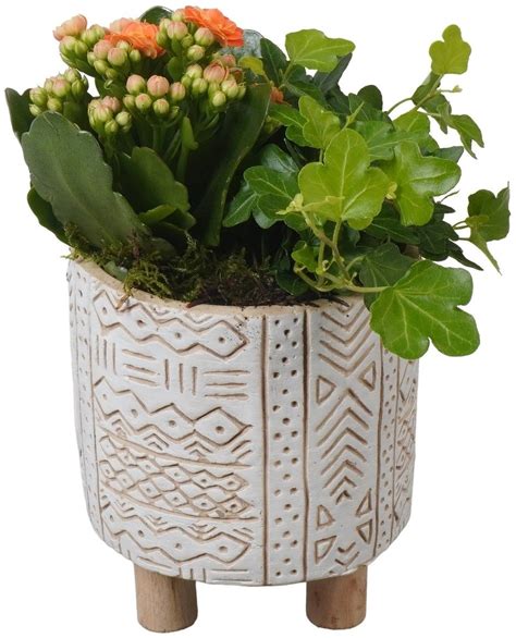 Detail aranžmánu s brečtanom v kvetináči