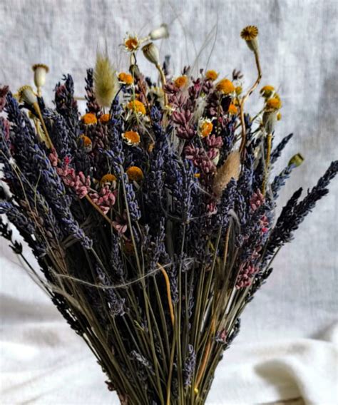 Detail kvetov floxu šidlolistého