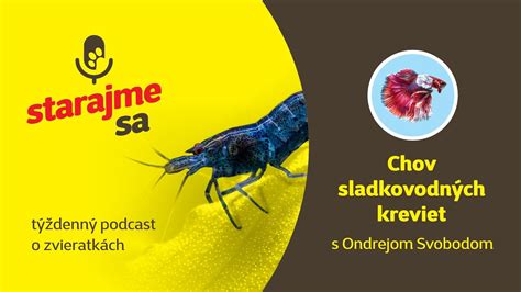 Schéma rozmnožovacieho cyklu sladkovodných kreviet
