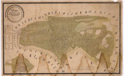 Mapa lesa s vyznačenými miestami výskytu papradí