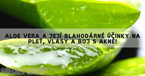 Ilustrácia s účinkami aloe vera na pleť
