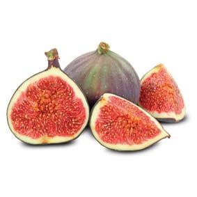 Čerstvé figy pripravené na zber