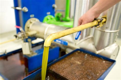 technologické spracovanie repkového oleja