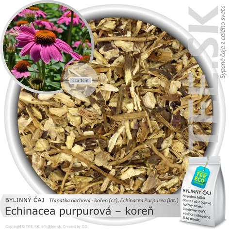 Koreň echinacey