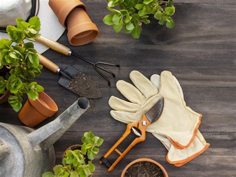 Nástroje na strihanie rastlín