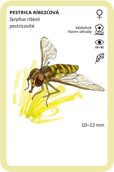 Ilustrácia kolobehu živín v prírodnej záhrade