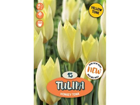 štruktúra tulipánovej cibuľky