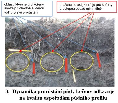 Profil ťažkej ílovitej pôdy s puklinami