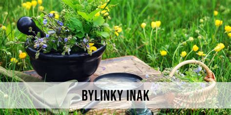 Obrázok rôznych bylín